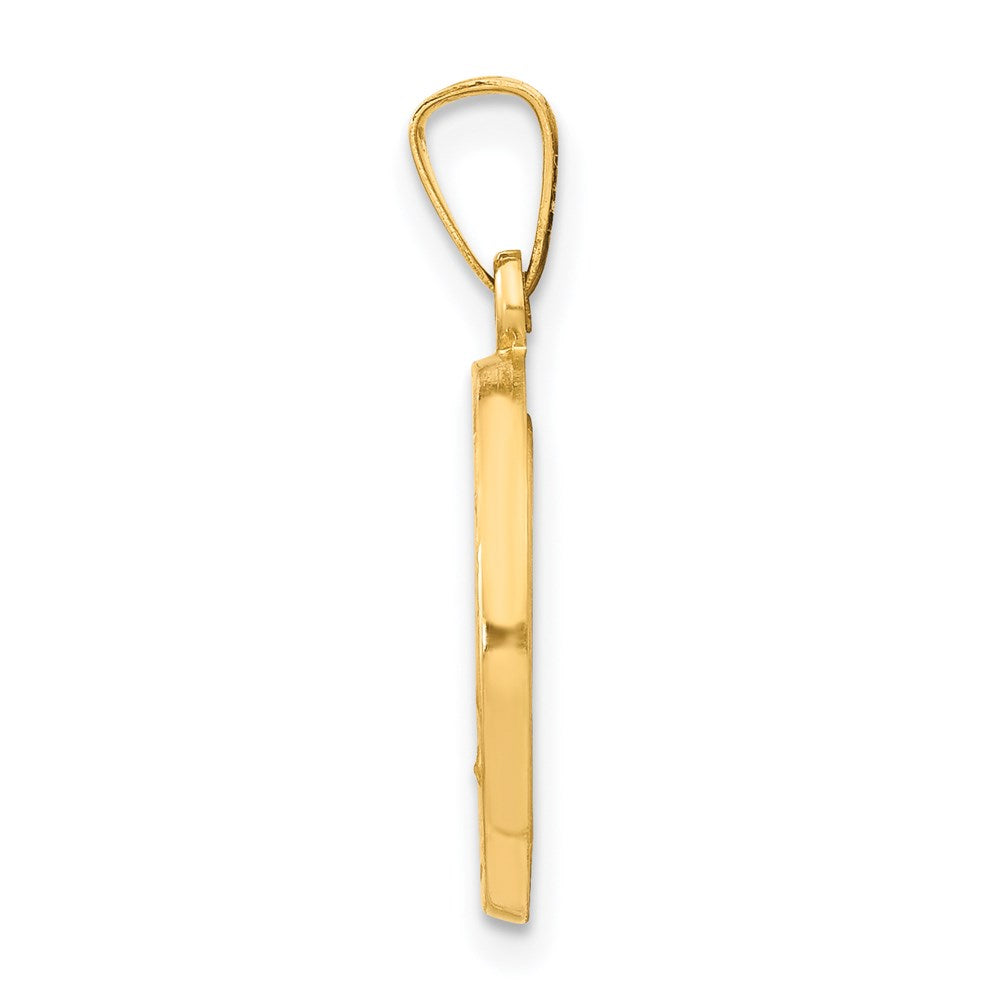 14k Yellow Gold 14k Polished and Satin Miraculous Medal Hollow Pendant