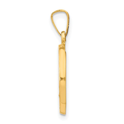 14k Yellow Gold 14k Polished and Satin Miraculous Medal Hollow Pendant