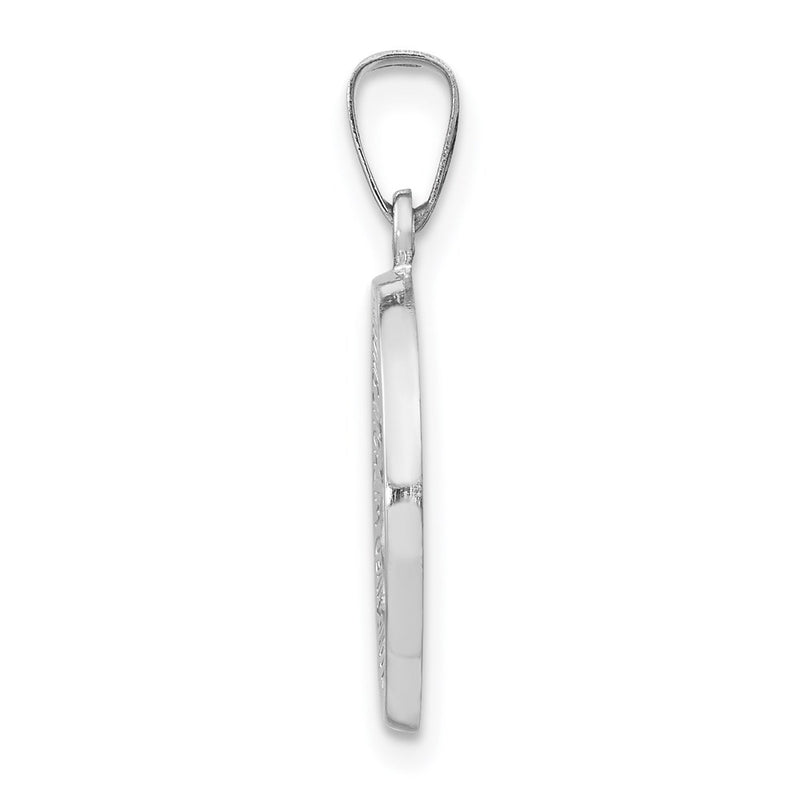 14k White Gold 14k White Gold Polished / Satin Miraculous Medal Hollow Pendant