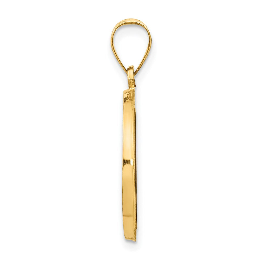 14k Yellow Gold 14k Polished and Satin Miraculous Medal Hollow Pendant