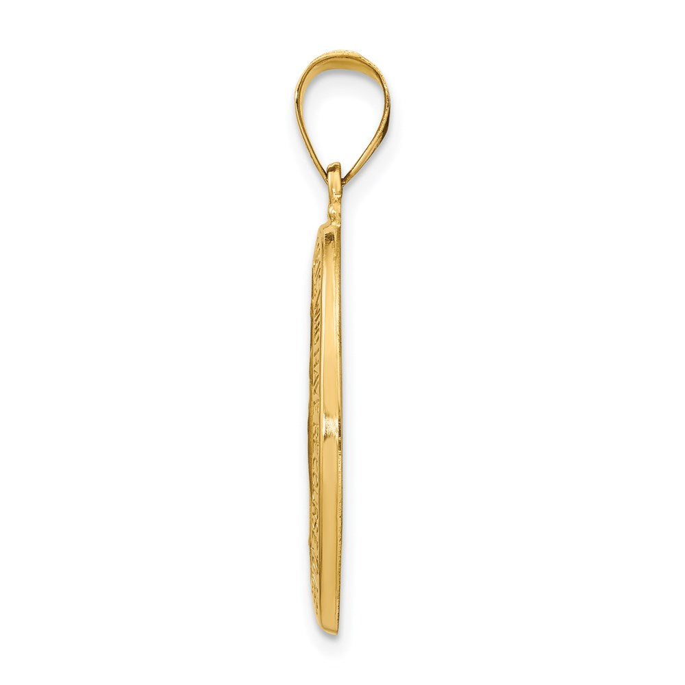 14k Yellow Gold 14k Polished and Satin Miraculous Medal Hollow Pendant