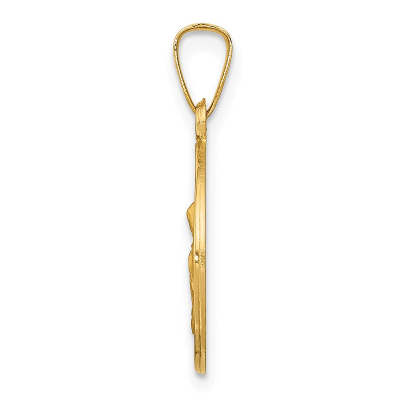 14k Yellow Gold 14k Polished and Satin St. Anne Medal Hollow Pendant