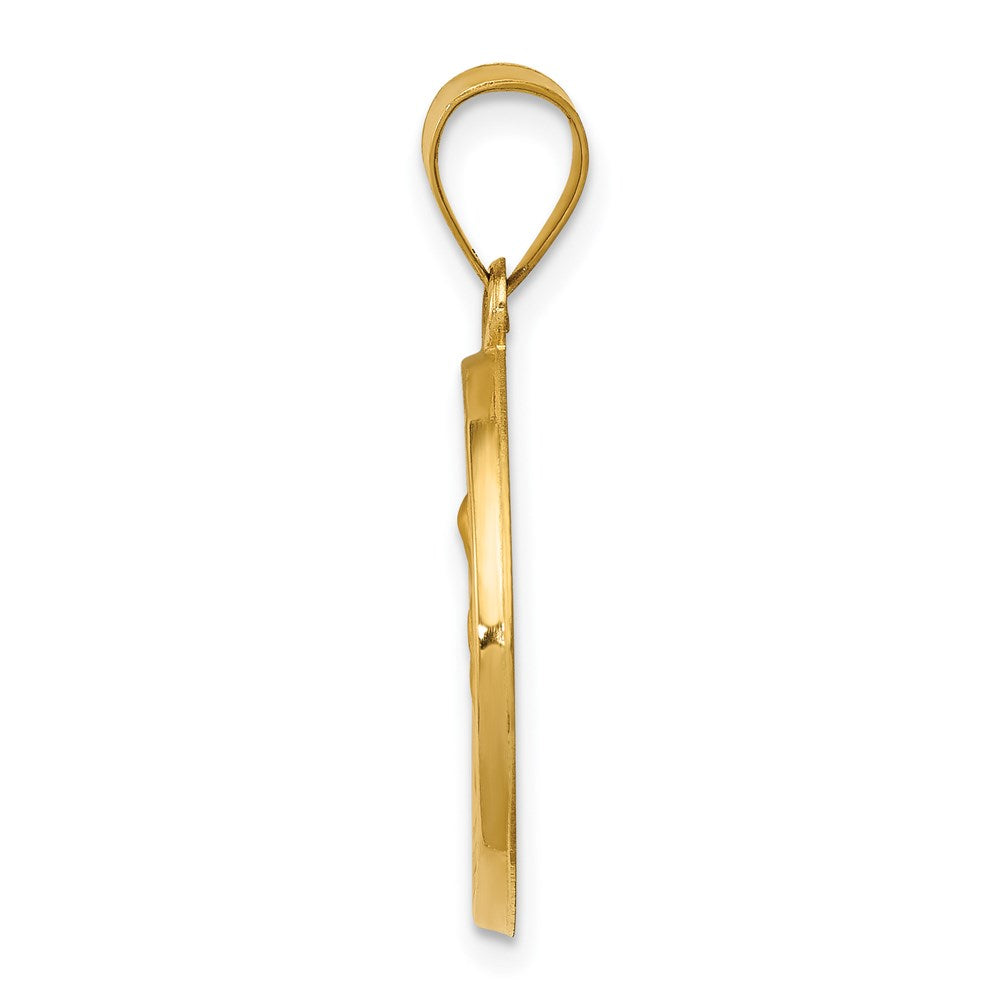 14k Yellow Gold 14k Polished and Satin St. Anne Medal Hollow Pendant