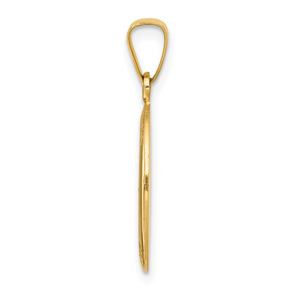 14k Yellow Gold 14k Polished and Satin St. Anthony Medal Hollow Pendant