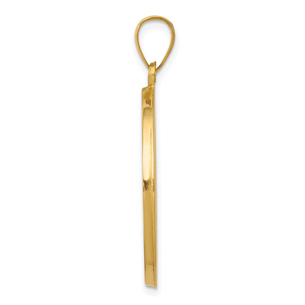 14k Yellow Gold 14k Polished and Satin St. Anthony Medal Hollow Pendant