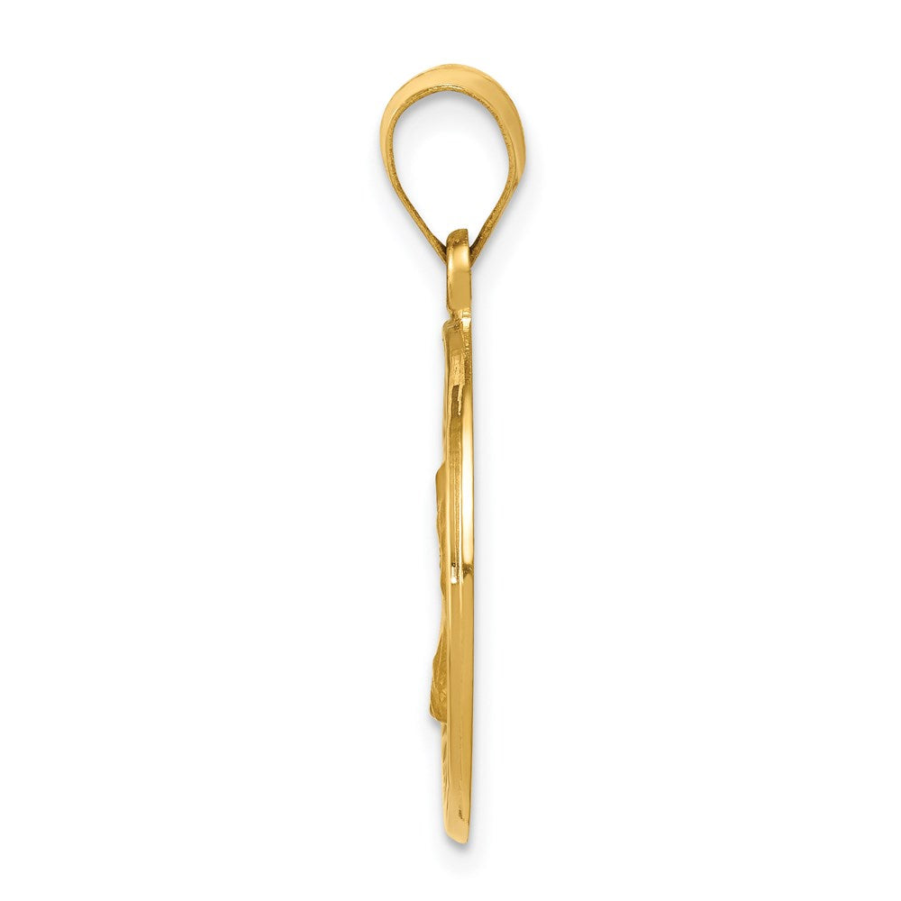 14k Yellow Gold 14k Polished and Satin St. Charles Medal Hollow Pendant