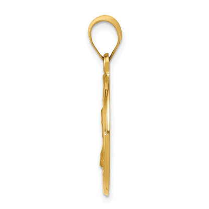 14k Yellow Gold 14k Polished and Satin St. Charles Medal Hollow Pendant