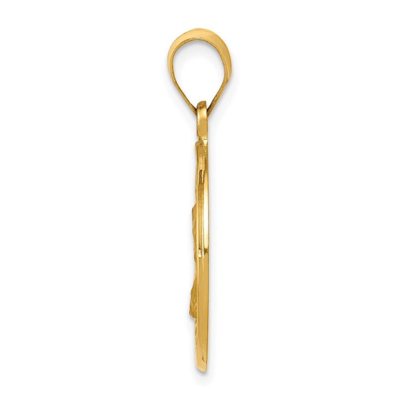 14k Yellow Gold 14k Polished and Satin St. Charles Medal Hollow Pendant