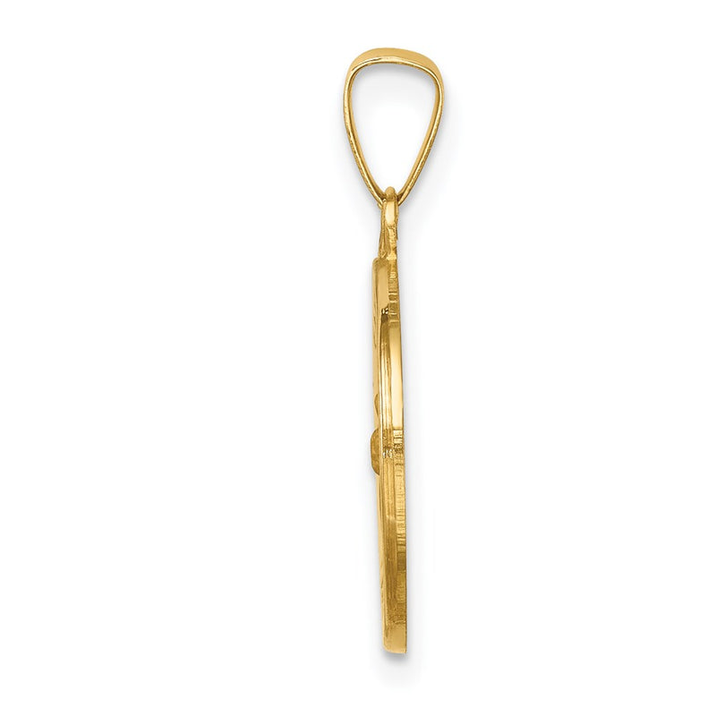 14k Yellow Gold 14k Polished and Satin St Francis Medal Hollow Pendant