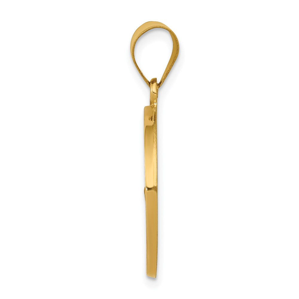 14k Yellow Gold 14k Polished and Satin St Francis Medal Hollow Pendant
