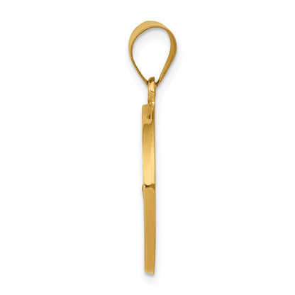 14k Yellow Gold 14k Polished and Satin St Francis Medal Hollow Pendant