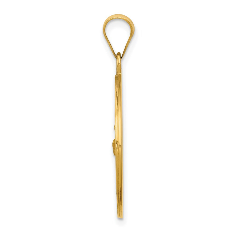 14k Yellow Gold 14k Polished and Satin St Francis Medal Hollow Pendant
