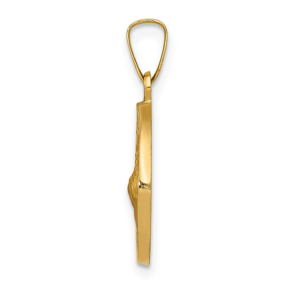 14k Yellow Gold 14k Polished and Satin St Francis of Assisi Medal Hollow Pendant