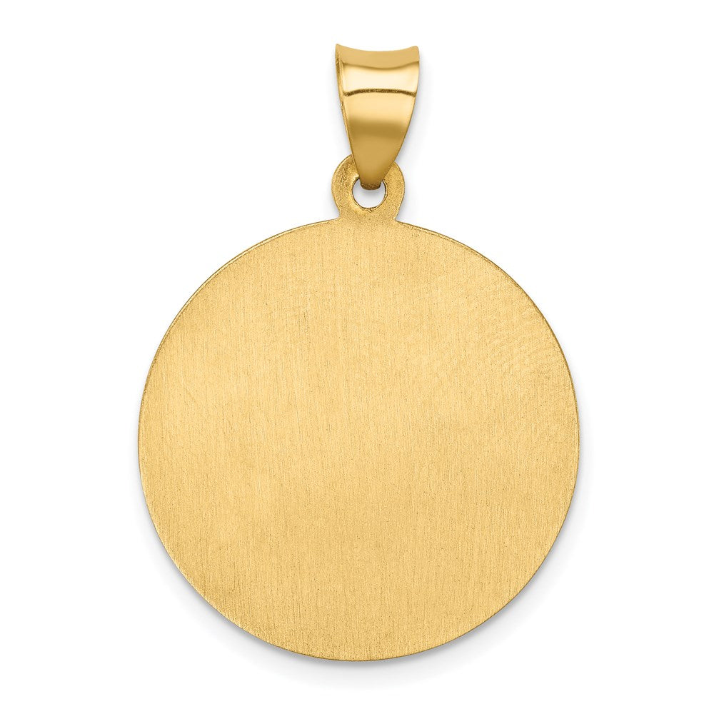 14k Yellow Gold 14k Polished and Satin St Francis of Assisi Medal Hollow Pendant
