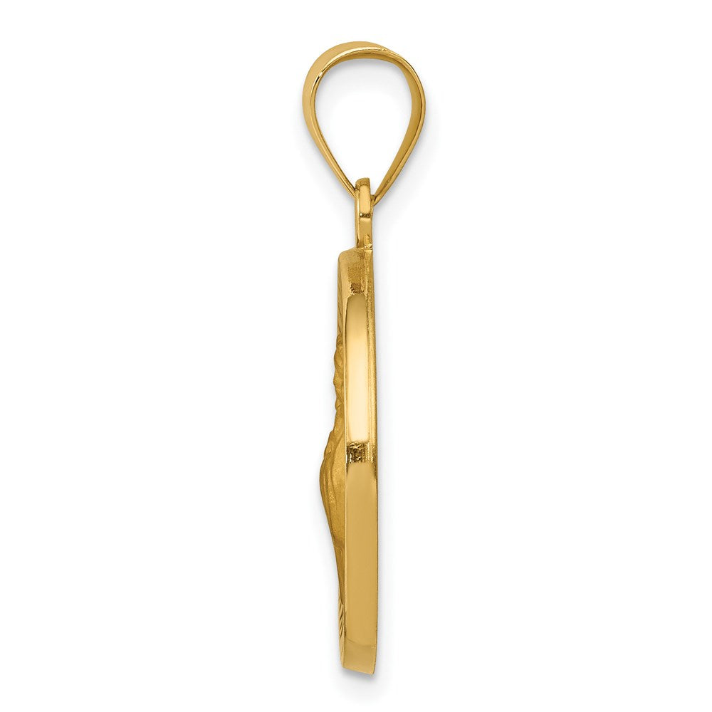 14k Yellow Gold 14k Polished and Satin St Francis of Assisi Medal Hollow Pendant