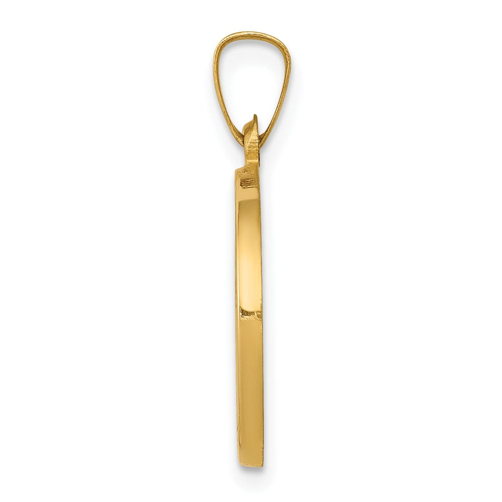 14k Yellow Gold 14k Polished and Satin St John Baptist Medal Hollow Pendant