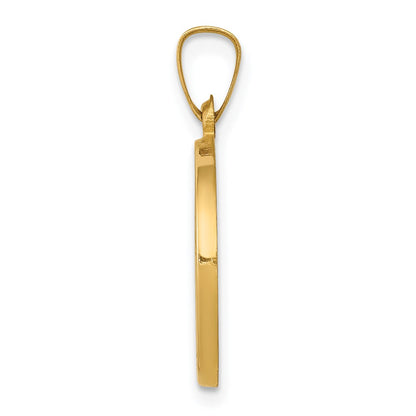14k Yellow Gold 14k Polished and Satin St John Baptist Medal Hollow Pendant