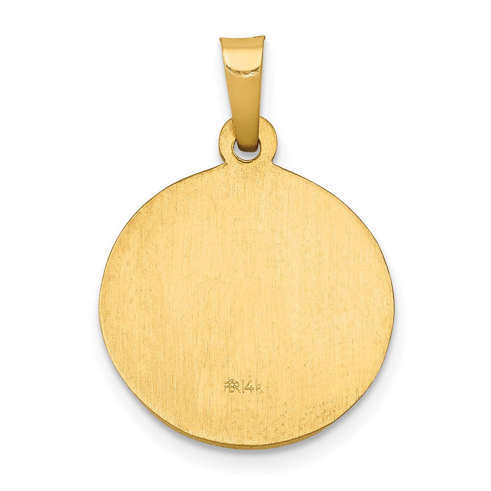 14k Yellow Gold 14k Polished and Satin St John Baptist Medal Hollow Pendant