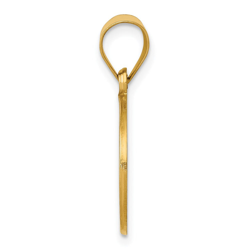 14k Yellow Gold 14k Polished and Satin St John Baptist Medal Hollow Pendant