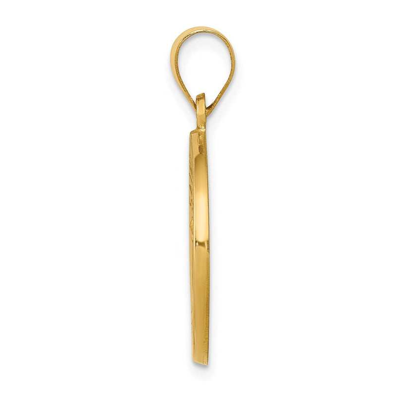 14k Yellow Gold 14k Polished and Satin St John Baptist Medal Hollow Pendant