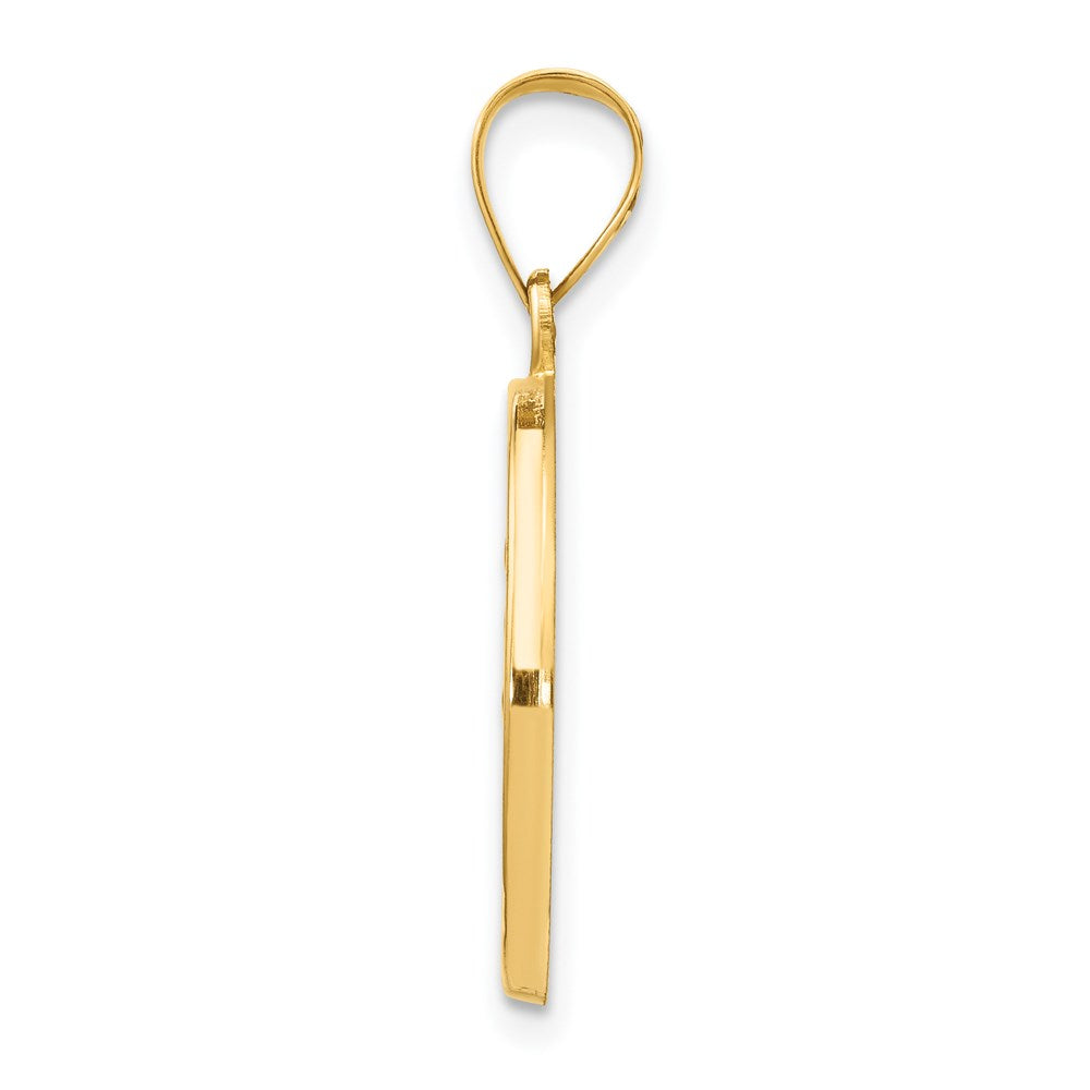 14k Yellow Gold 14k Polished and Satin St Luke Medal Hollow Pendant