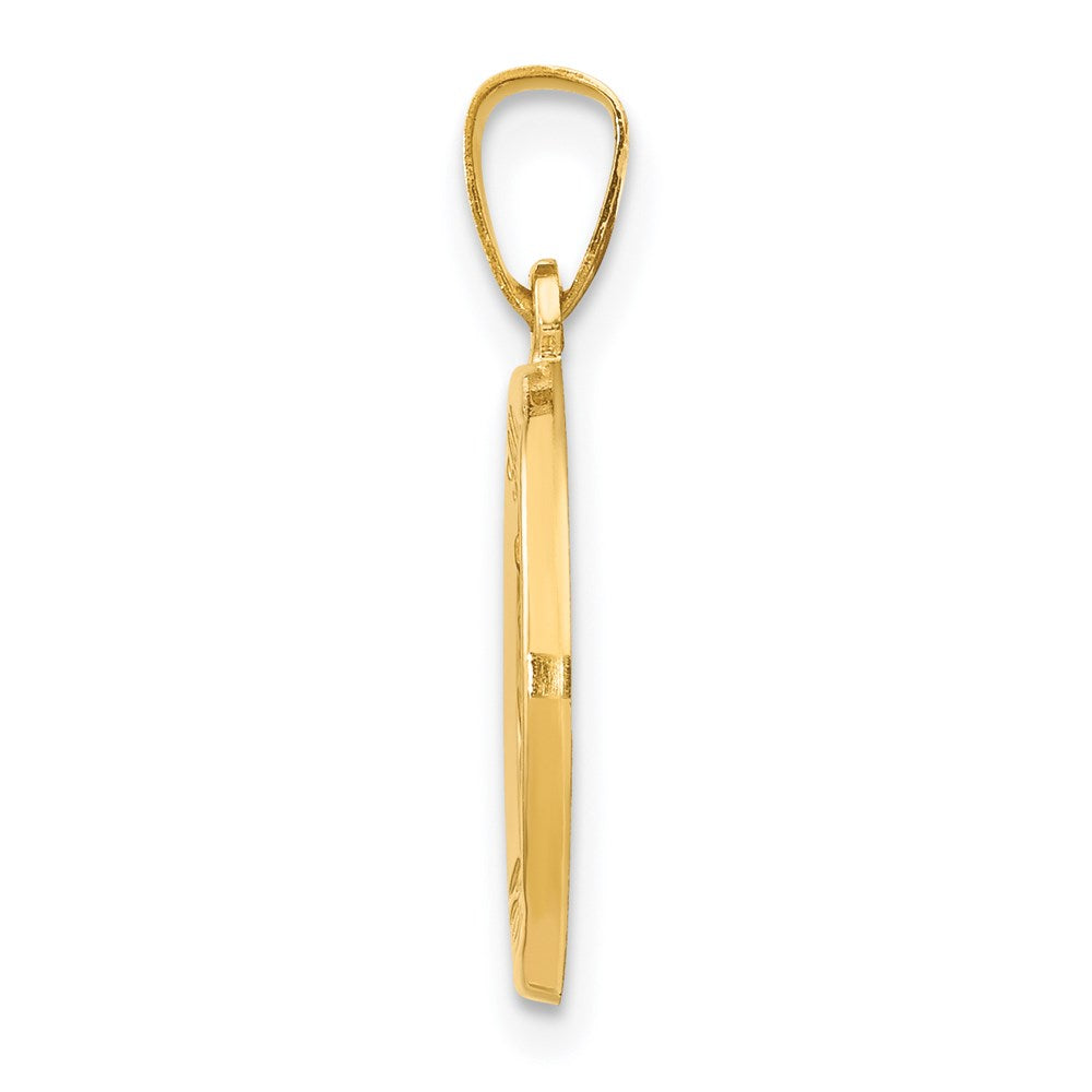 14k Yellow Gold 14k Polished and Satin St Luke Medal Hollow Pendant