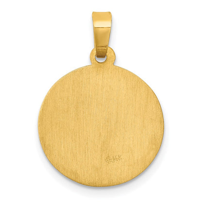 14k Yellow Gold 14k Polished and Satin St Luke Medal Hollow Pendant