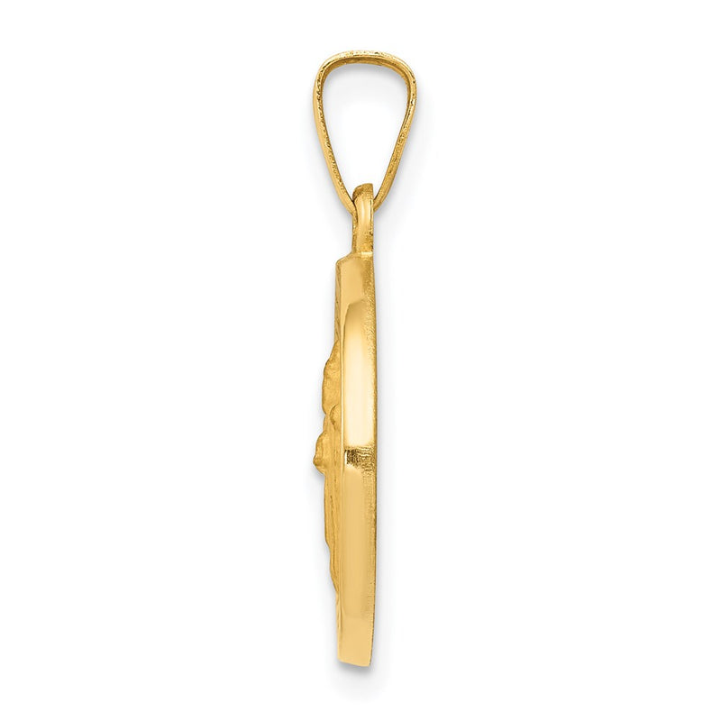 14k Yellow Gold 14k Polished and Satin St Patrick Medal Hollow Pendant
