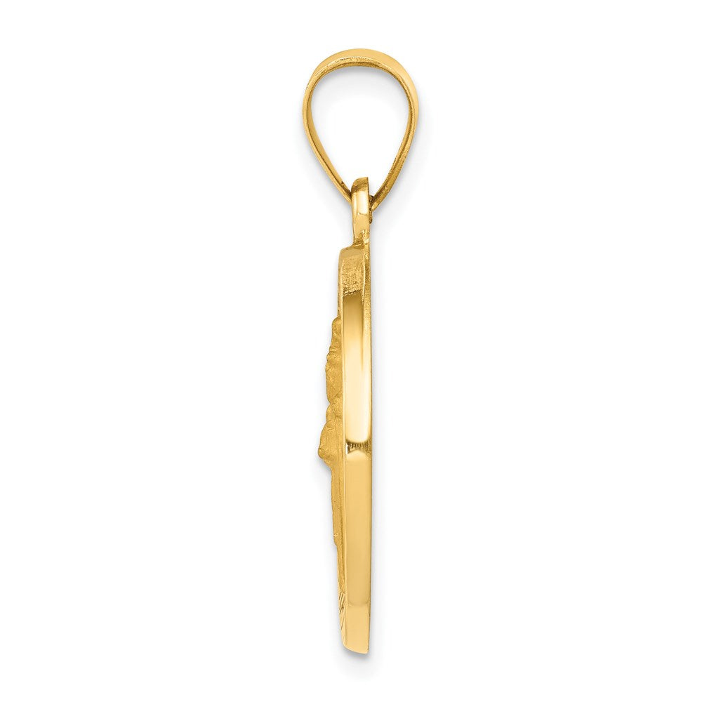 14k Yellow Gold 14k Polished and Satin St Patrick Medal Hollow Pendant