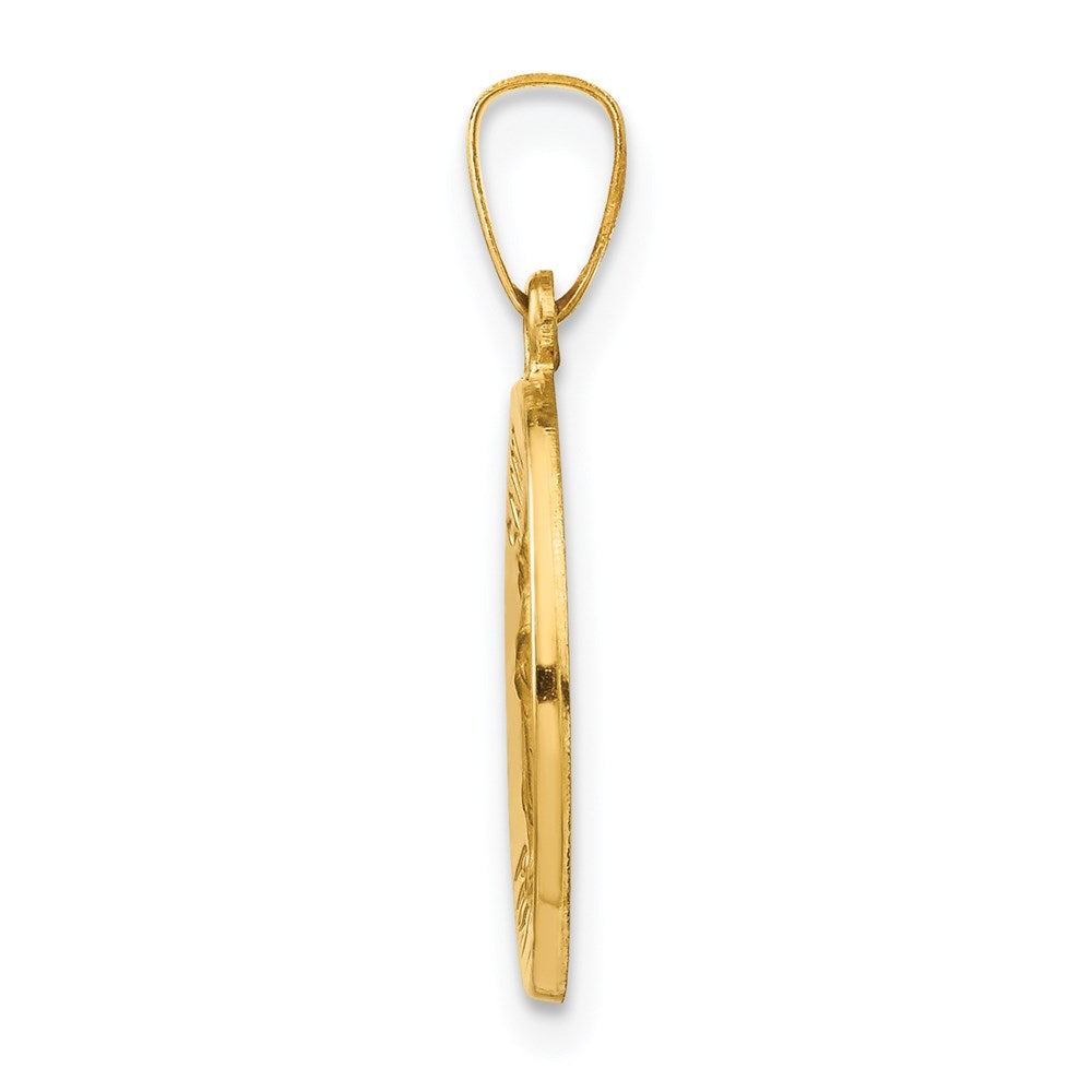 14k Yellow Gold 14k Polished and Satin St Raphael Medal Hollow Pendant