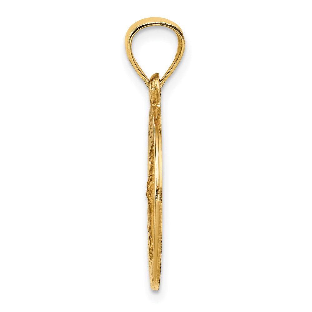 14k Yellow Gold 14k Polished and Satin St Raphael Medal Hollow Pendant