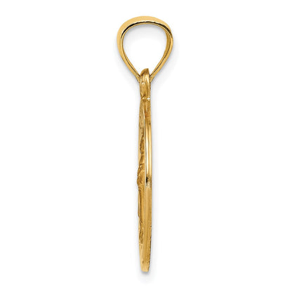 14k Yellow Gold 14k Polished and Satin St Raphael Medal Hollow Pendant