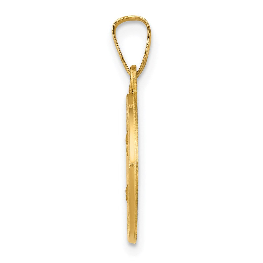 14k Yellow Gold 14k Polished and Satin St Theresa Medal Hollow Pendant