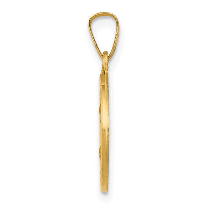 14k Yellow Gold 14k Polished and Satin St Theresa Medal Hollow Pendant