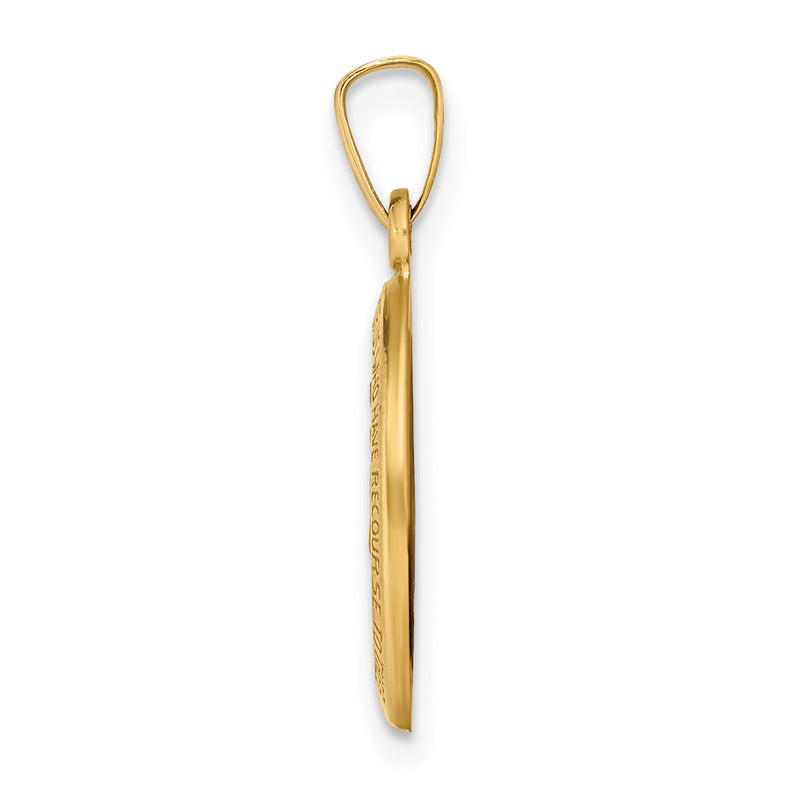 14k Yellow Gold 14k Polished and Satin Miraculous Medal Hollow Pendant