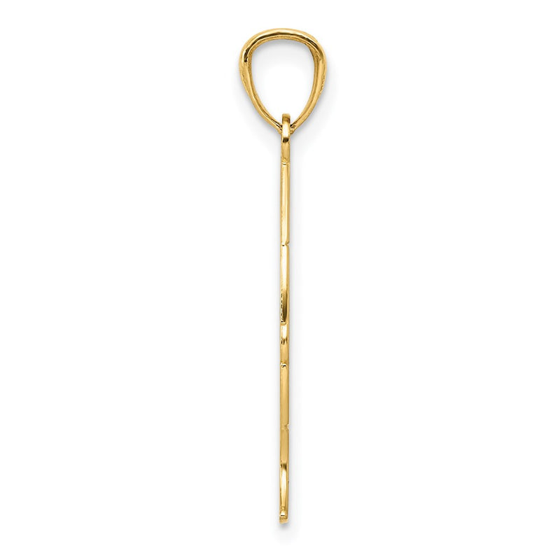 14k Yellow Gold 14K Gold Polished JESUS Fish Pendant