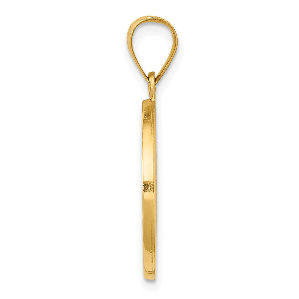 14k Yellow Gold 14K Polished Satin Hollow Divino Nino Round Medal Pendant