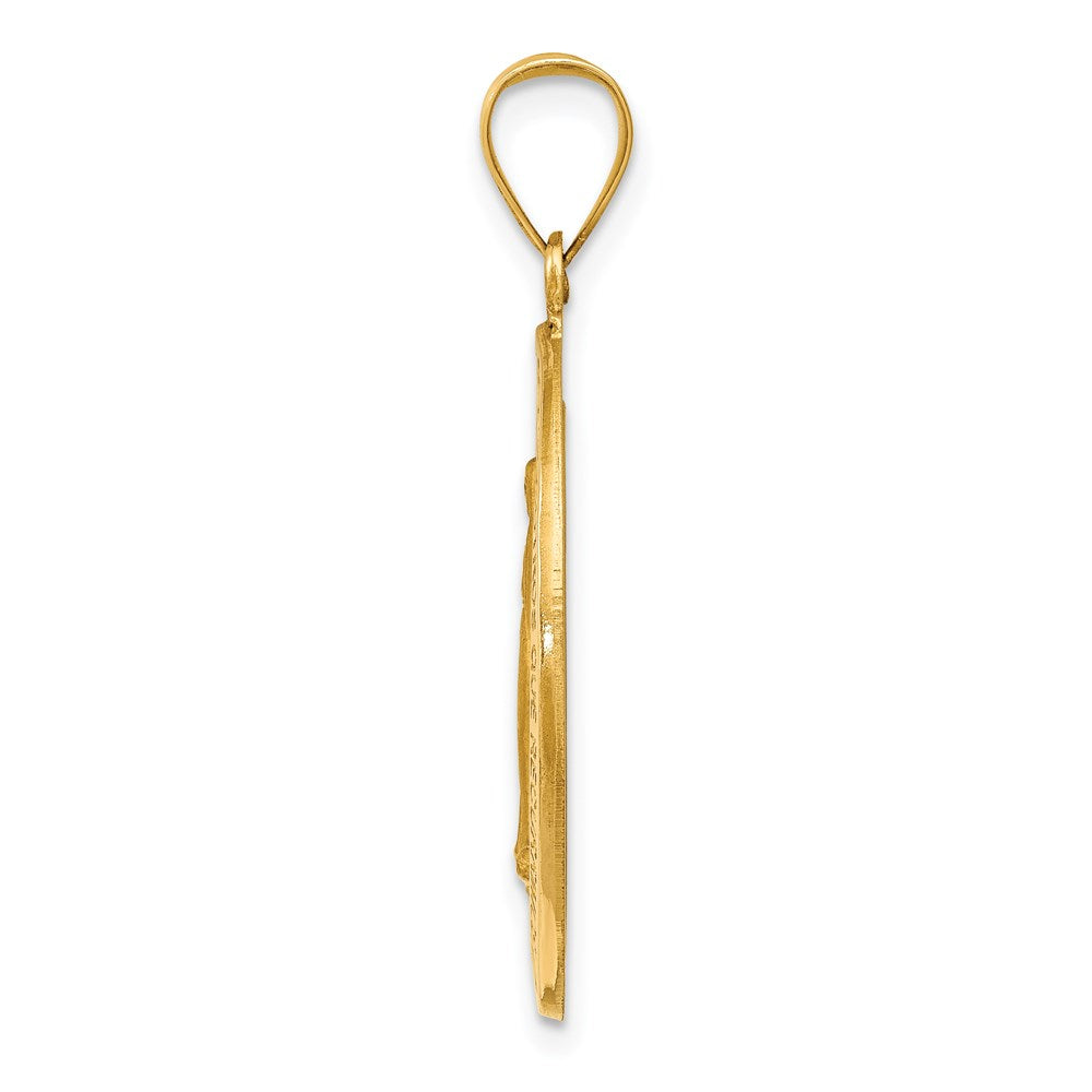 14k Yellow Gold 14k Polished and Satin Hollow Spanish Miraculous Medal Pendant