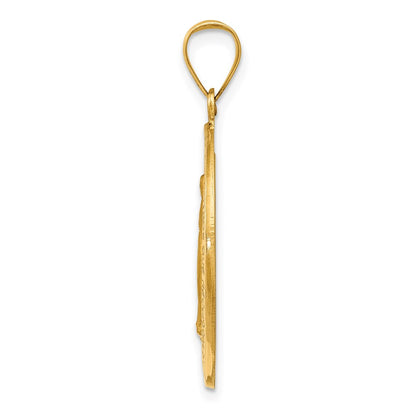 14k Yellow Gold 14k Polished and Satin Hollow Spanish Miraculous Medal Pendant