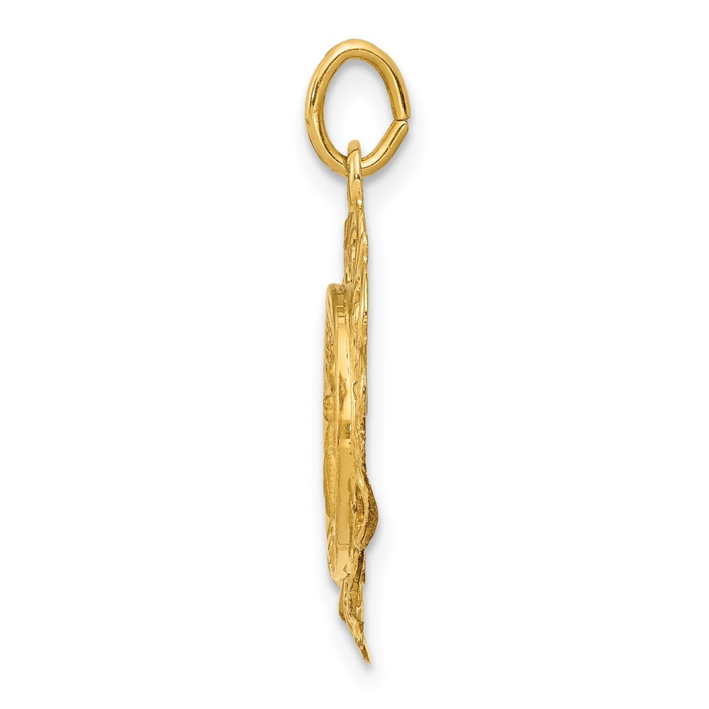 14k Yellow Gold 14k Polished/Satin Spanish Guardian Angel Medal Hollow Pendant