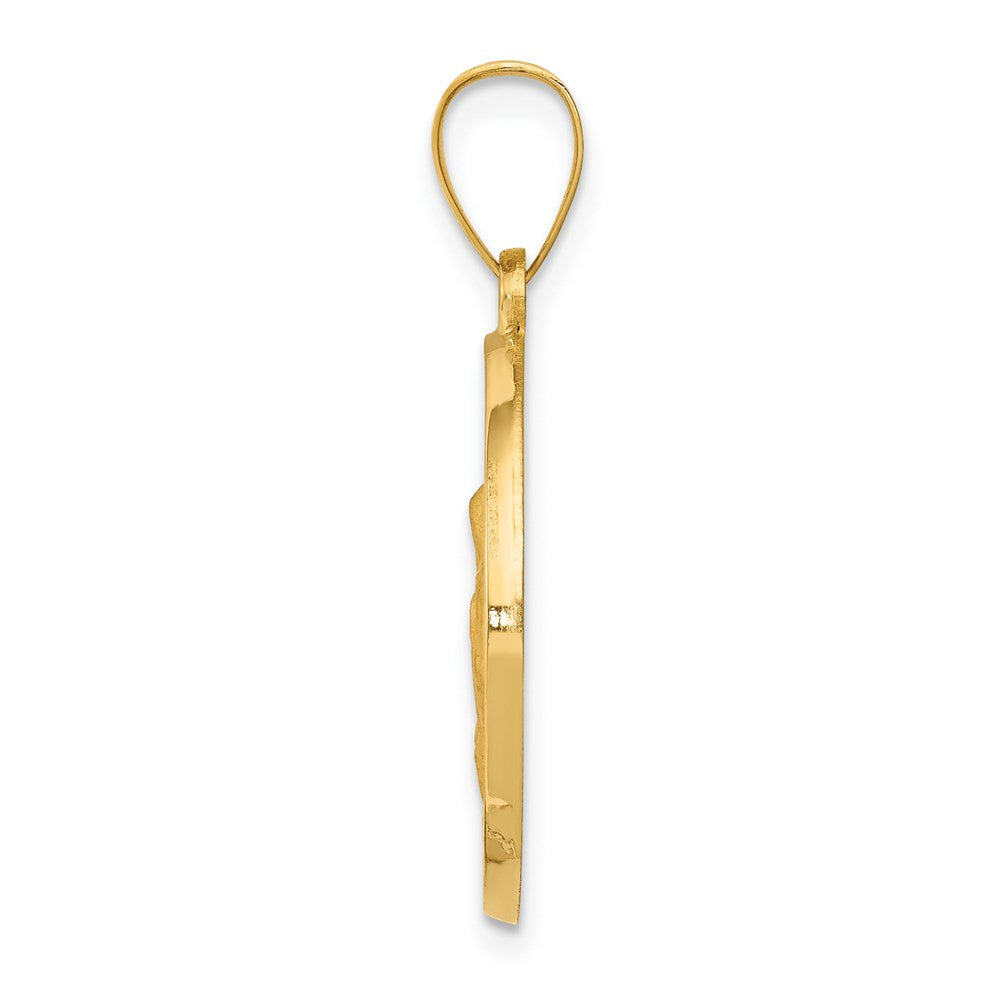 14k Yellow Gold 14K Polished/Satin Hollow Spanish Saint Anne Medal Pendant
