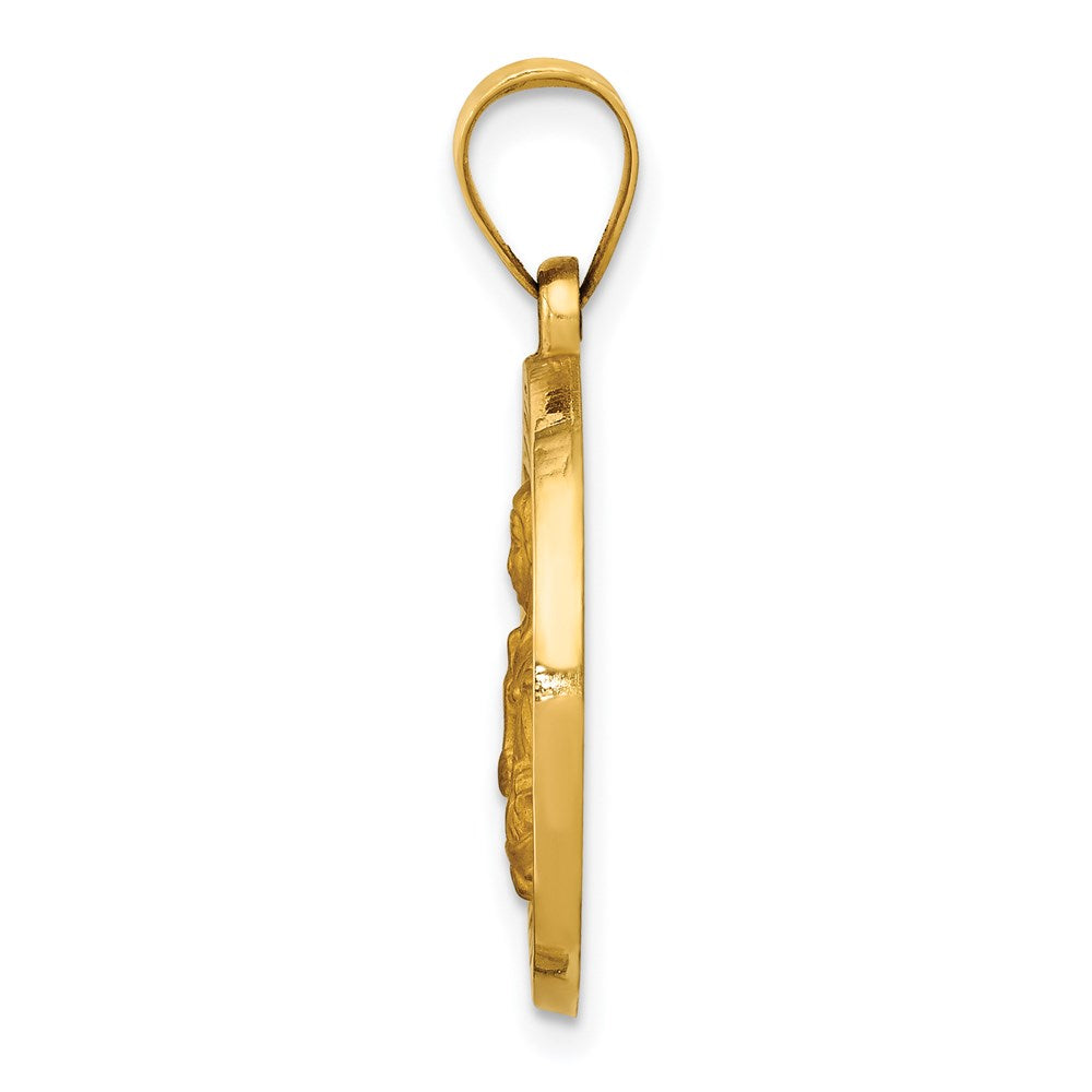 14k Yellow Gold 14K Polished/Satin St. Brigid Hollow Medal Pendant