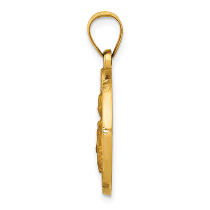 14k Yellow Gold 14K Polished/Satin St. Brigid Hollow Medal Pendant