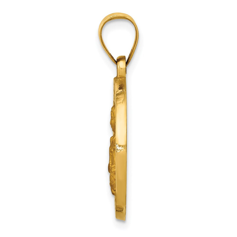 14k Yellow Gold 14K Polished/Satin St. Brigid Hollow Medal Pendant