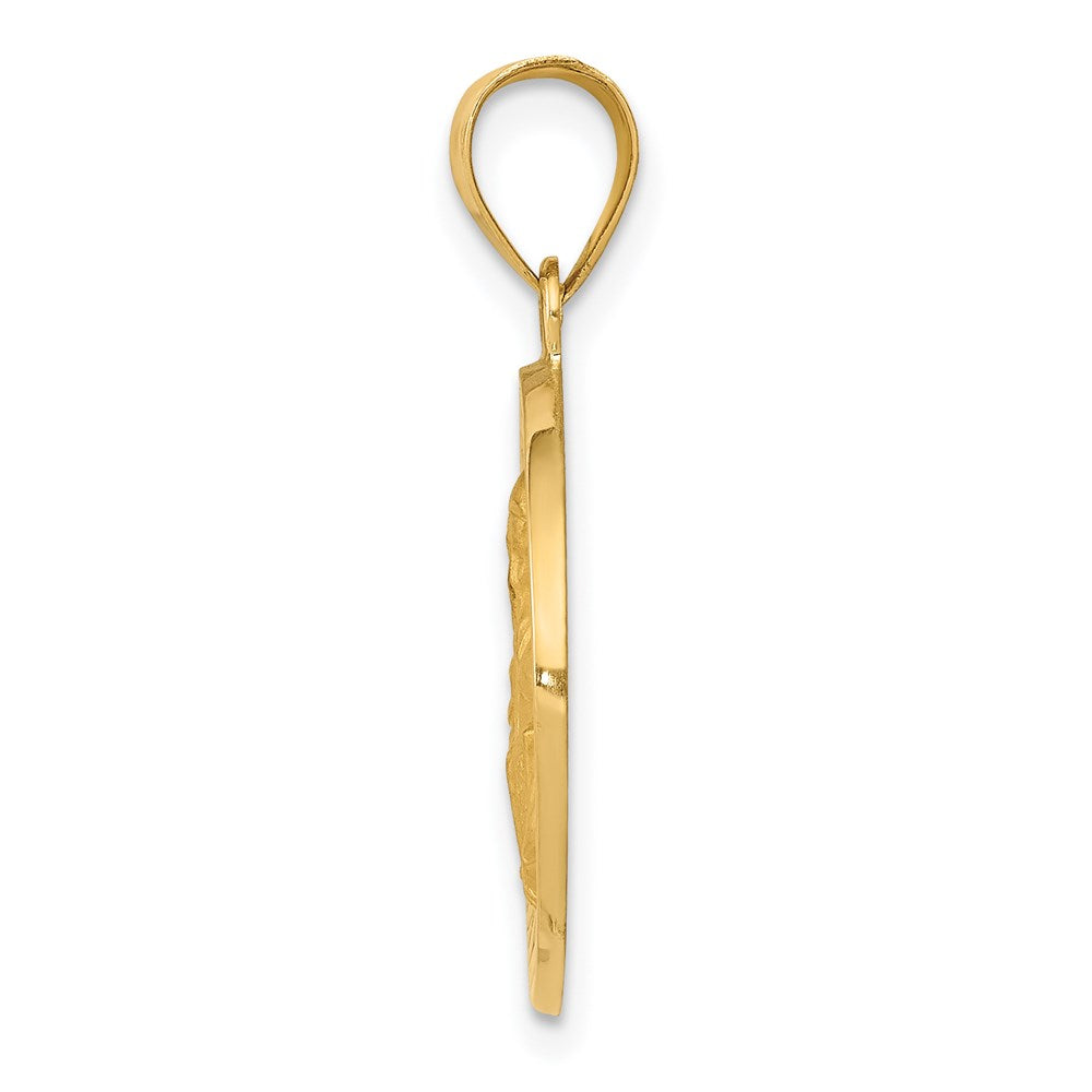14k Yellow Gold 14K Polished / Satin St. Vincent Hollow Medal Pendant