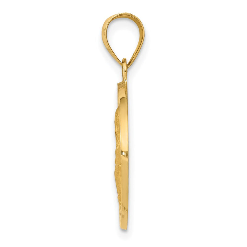 14k Yellow Gold 14K Polished / Satin St. Vincent Hollow Medal Pendant