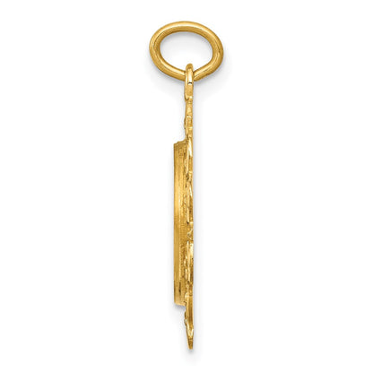 14k Yellow Gold 14k Polished/Satin Spanish 1st Communion Medal Hollow Pendant