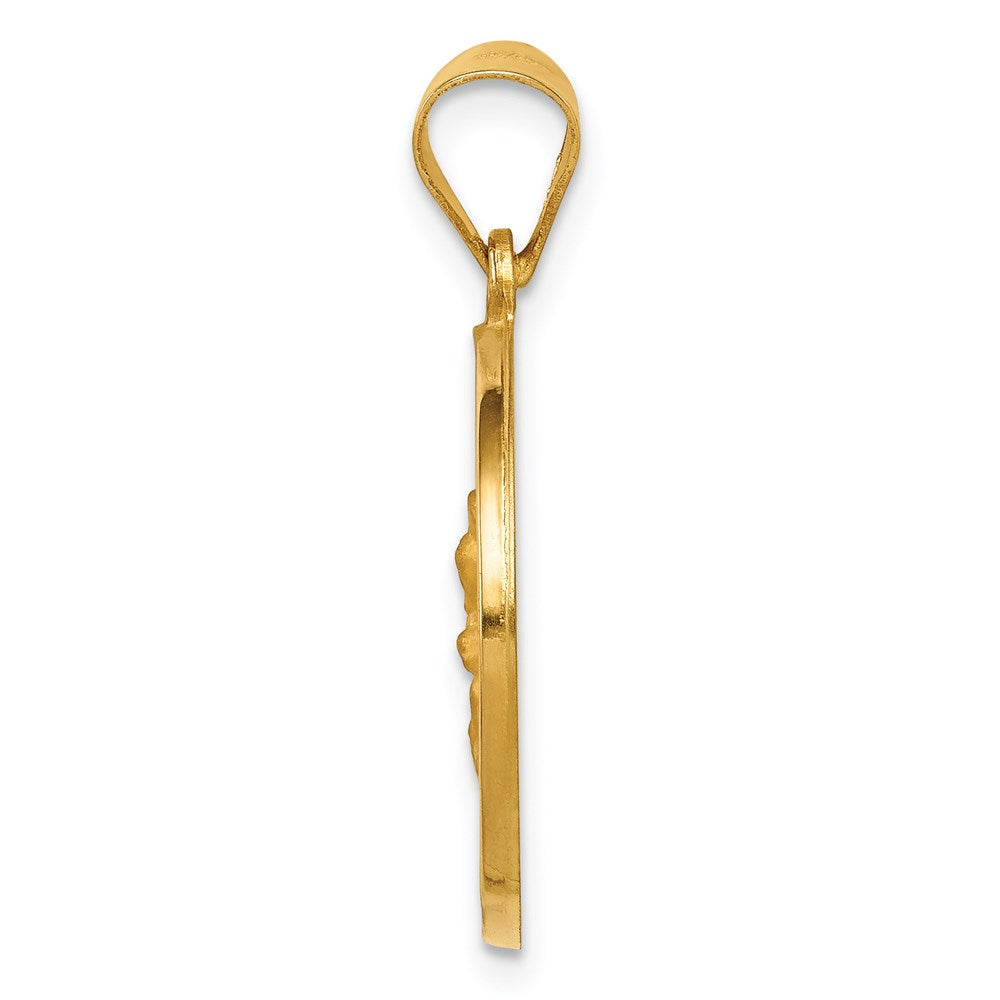 14k Yellow Gold 14K Hollow Polished/Satin Spanish Perpetuo Socorro Medal