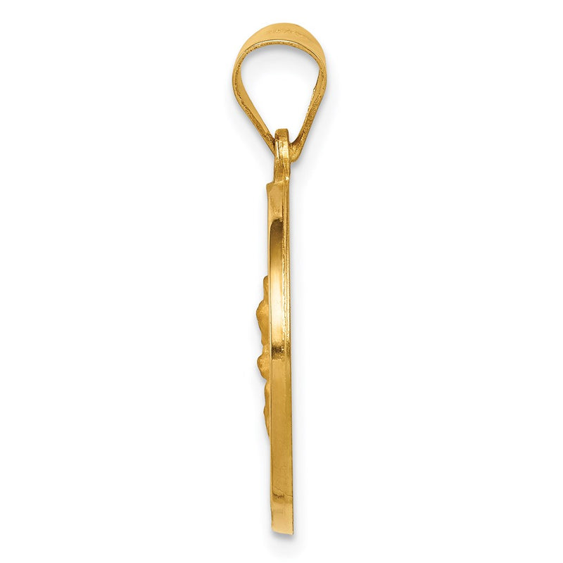 14k Yellow Gold 14K Hollow Polished/Satin Spanish Perpetuo Socorro Medal
