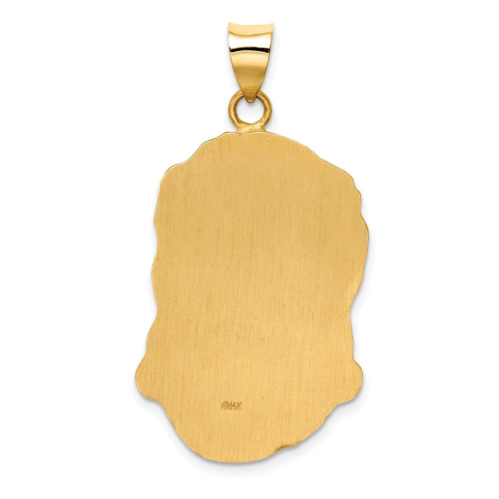 14k Yellow Gold 14k Hollow Polished/Satin Large Jesus Medal
